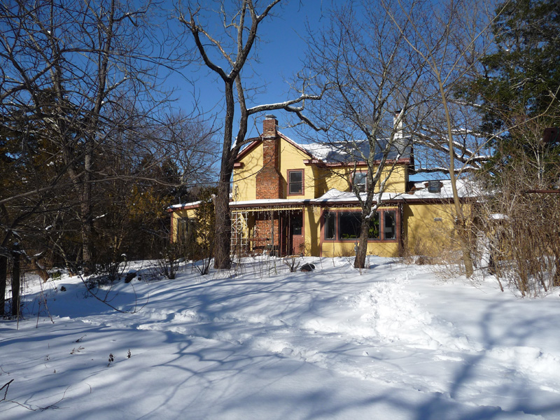 South wall of house during winter