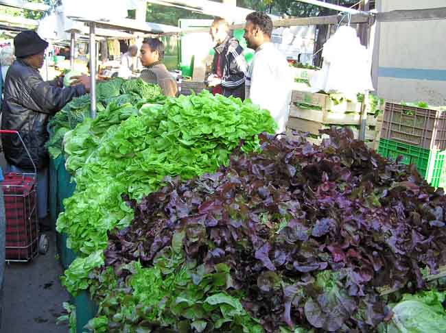 Lettuce in an outdoor market