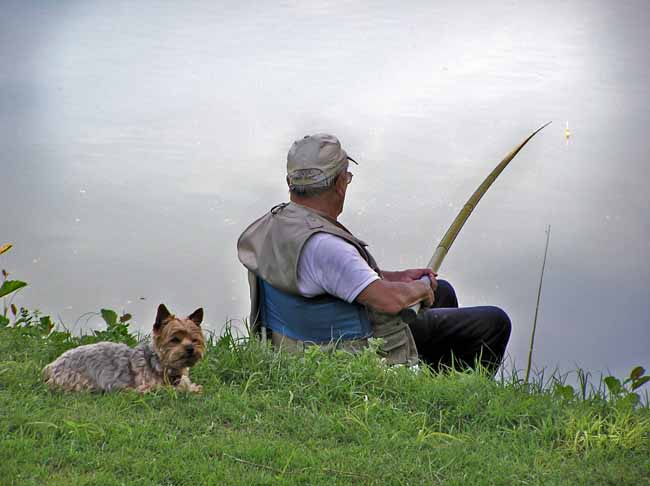 Fishing on Tarn River